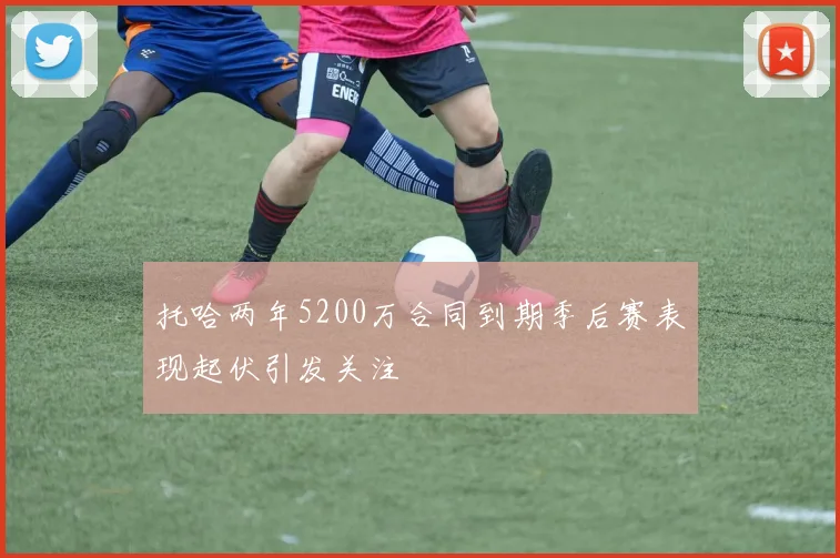 托哈两年5200万合同到期季后赛表现起伏引发关注