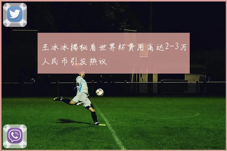 王冰冰揭秘看世界杯费用高达2-3万人民币引发热议